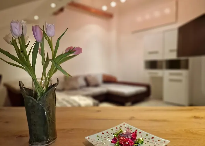 Daire Muehlviertel *